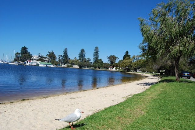Swan River.