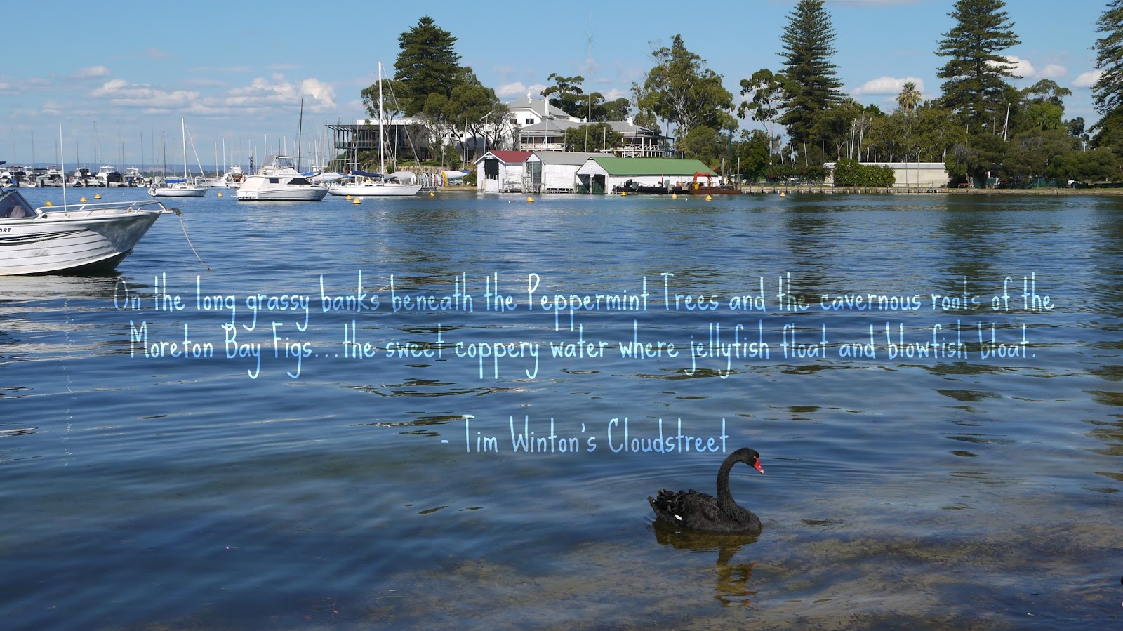 I'm Going Home - Finally Moving Back to Australia.